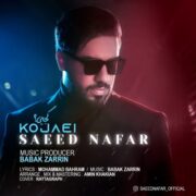 دانلود آهنگ جدید سعید نفر کجایی